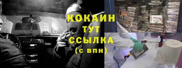 дмт Белокуриха