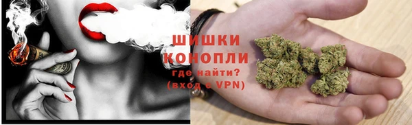 дмт Белокуриха