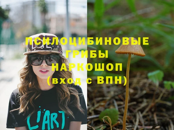 стафф Белоозёрский