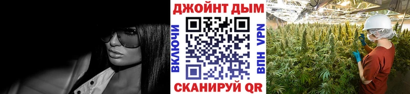 Бошки марихуана сатива  где купить наркоту  Курчатов 